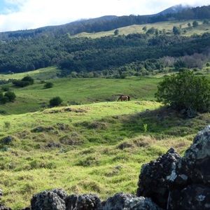 Meet your Posher, Upcountry